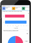 about dakar software company